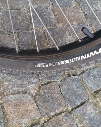 Mountain bike