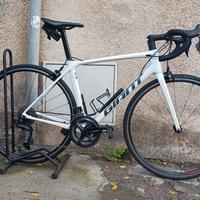 giant tcr