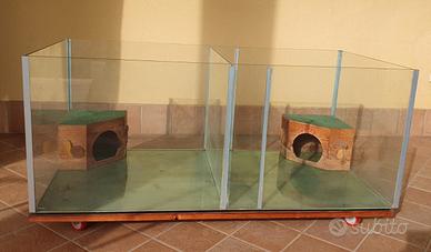 Terrario in vetro per tartarughe o piccoli ret