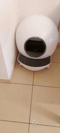 lettiera automatica per gatti