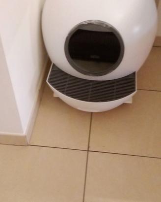 lettiera automatica per gatti