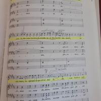 Spartiti canto e piano opere liriche