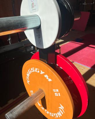 Dischi acciaio calibrati powerlifting