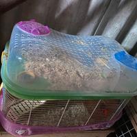 Gabbia criceti due piani