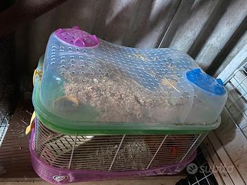 Gabbia criceti due piani