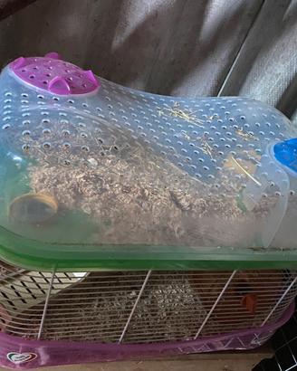 Gabbia criceti due piani