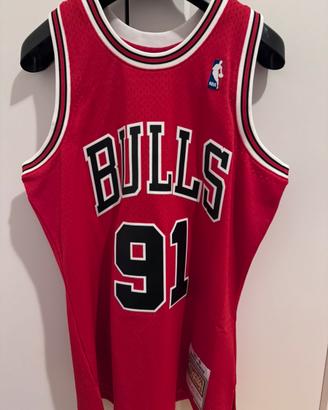 canotta chicago bulls -Dennis Rodman