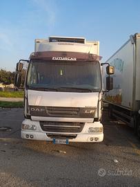 daf anno  2006 frigo apposto motore buono 