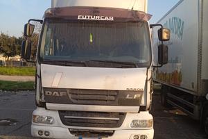 daf anno  2006 frigo apposto motore buono 