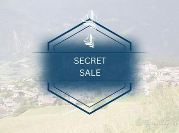 Laion: Tri- /Quadrilocale