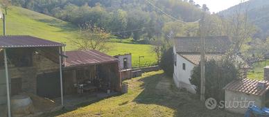 Casa Indipendente Ferentillo [Cod. rif 3220826VRG]