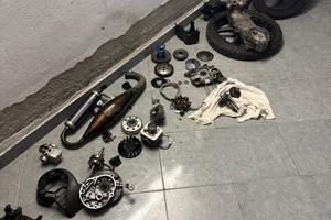 smembro blocco piaggio