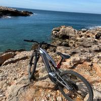Bici elettrica