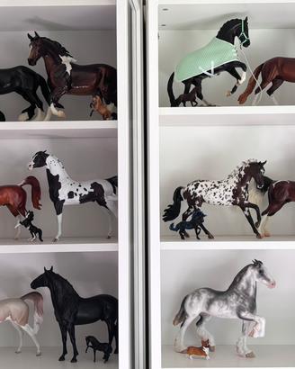 breyer & peter stone