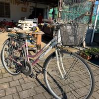 Bicicletta Frejus da donna