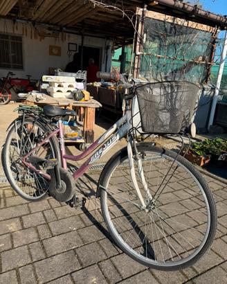 Bicicletta Frejus da donna