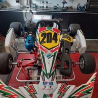 Kart Birel 100cc