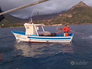 Barche da pesca con licenza