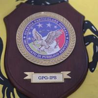 Guardia Particolare Giurata