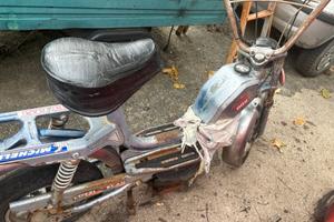 Mini califfo rizzato