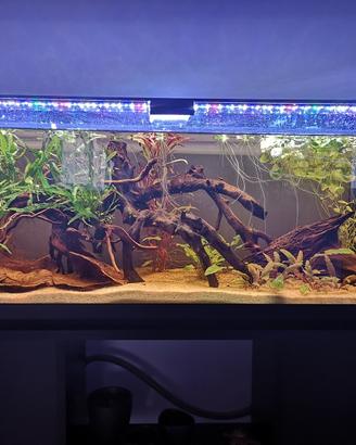 Acquario 100x30x45 e accessori