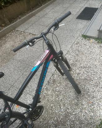 Bici mountenbike