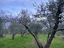 Immagine 29