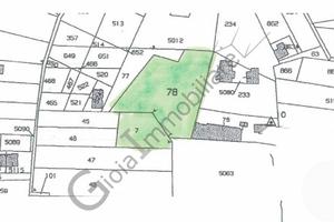 Terreno di 7400 m² a Sessa Aurunca