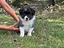 Immagine 23