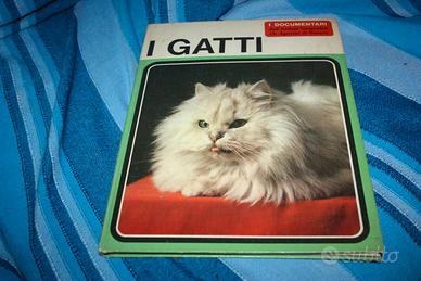 Libro vintage sui gatti.