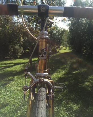 Colnago Mexico Oro