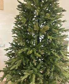 Alberto di Natale Pino delle Ande marca Scaramuzza