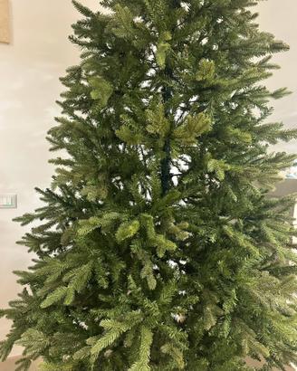 Alberto di Natale Pino delle Ande marca Scaramuzza