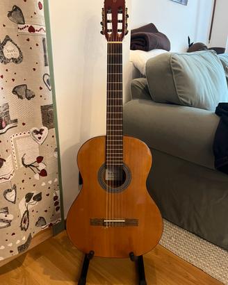 Chitarra classica Eko Vibra mod. 100