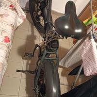 bici elettrica 