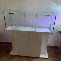 Acquario 100L