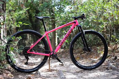 Specialized EPIC HT comp Carbon 2019