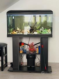 Acquario 80 litri