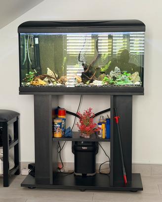 Acquario 80 litri