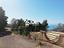 Immagine 29