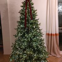 Albero Natale realistico Xone con led integrati