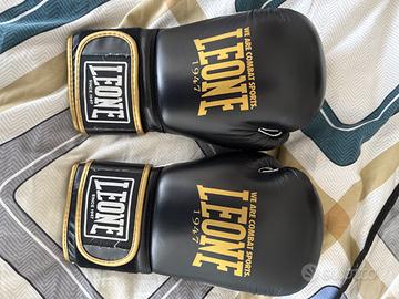 Lotto Articoli da Boxe e Kickboxe