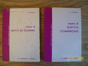 Bignami per esami di "DIRITTO" ed "ECONOMIA"