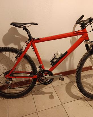 Mountain bike