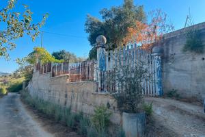 Disponibile terreno