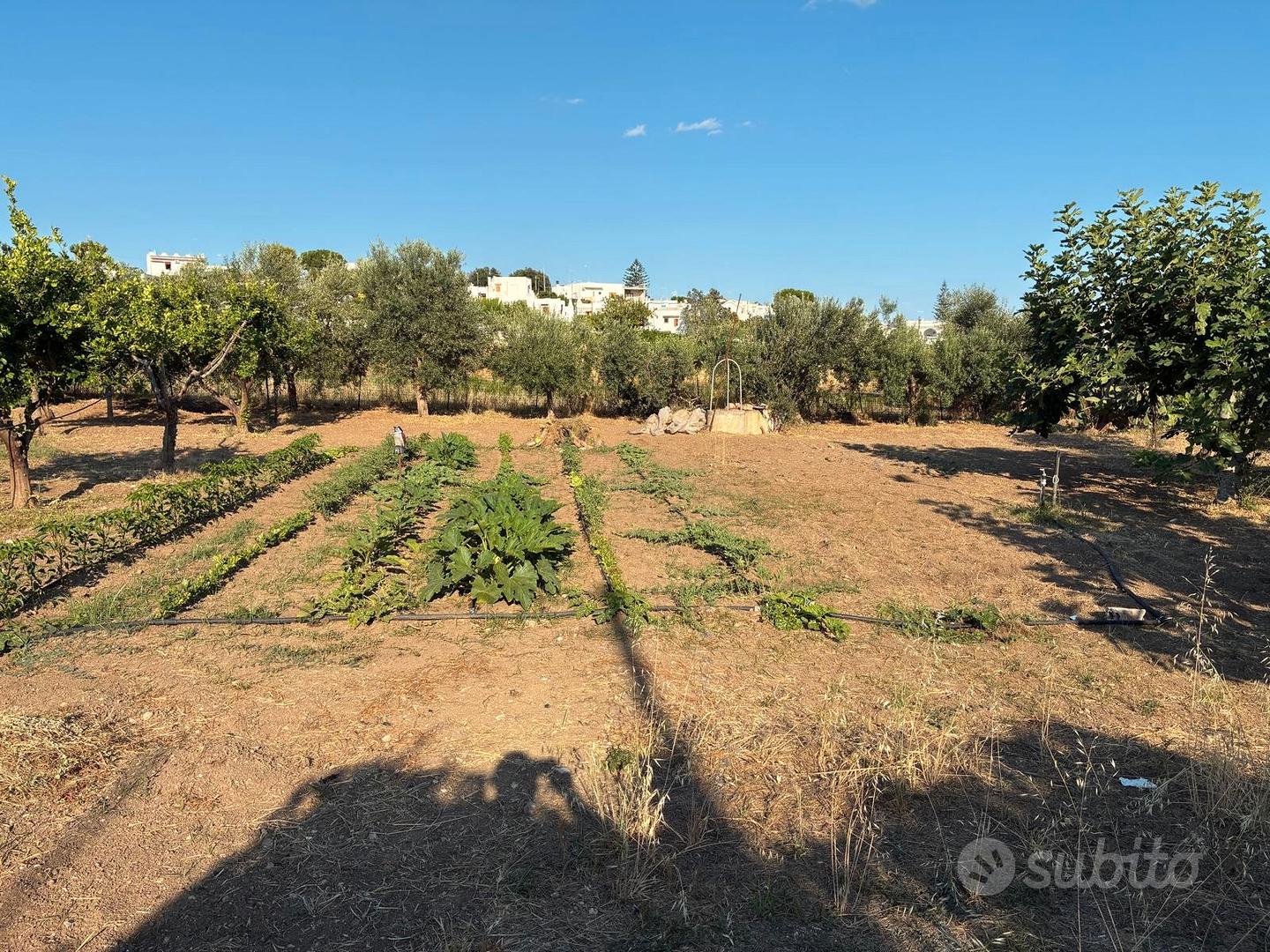 Terreno agricolo a 400 mt dal mare - Vista 4