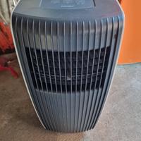 condizionatore/pinguino aria fredda/calda