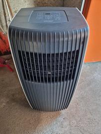 condizionatore/pinguino aria fredda/calda