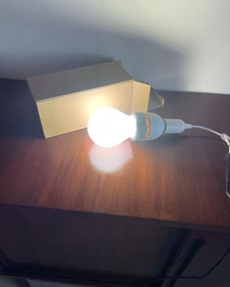 Lampada LED 50W bianco freddo