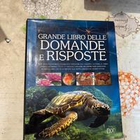 Grande libro delle domande e risposte